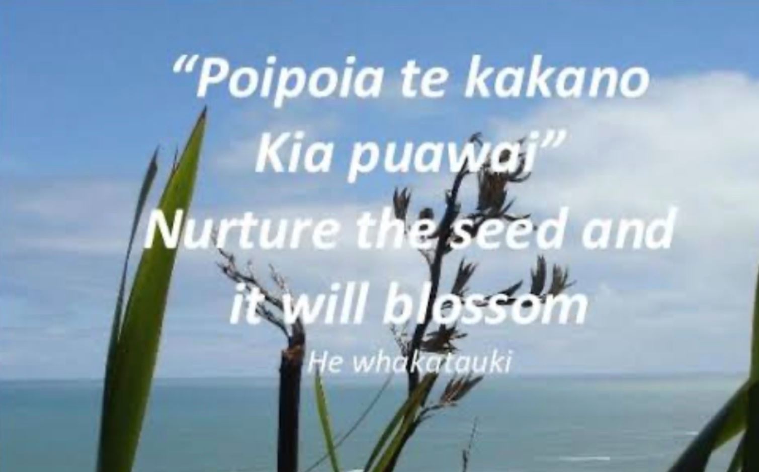 Waiapu Kids - Te Hapara Whanau Aroha - Childcare - Te Hapara