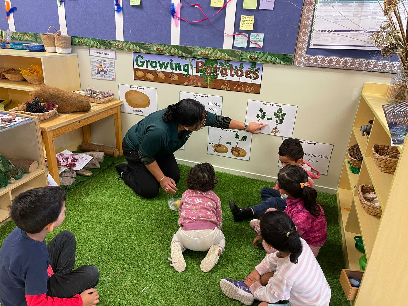 Go Bananas Childcare Kelston Childcare Kelston